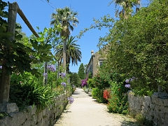 TRSTENO - Arboretum (27)